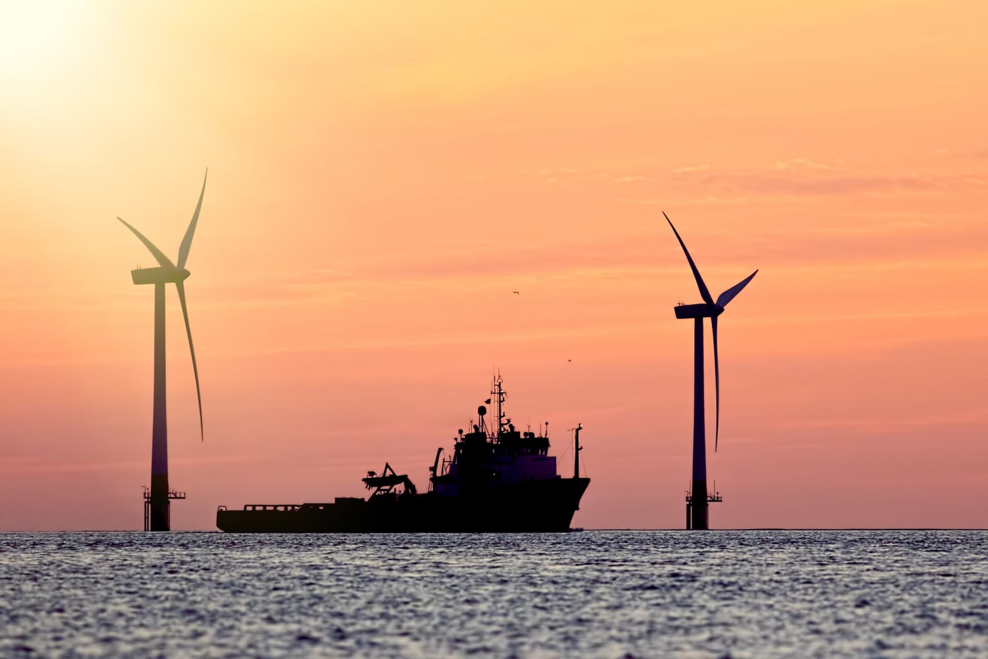 CII Ratings Explained: Practical Guide for Shipowners and Operators